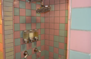 Rose Court Cottage Tiled Shower