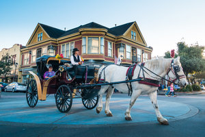 Eureka Old Town Carriage Ride