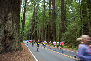 Avenue of the Giants Marathon Race