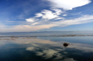 Laird, Water, Arcata Bay