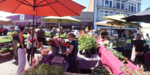 Laird, Plaza Events, Saturday Farmers Market